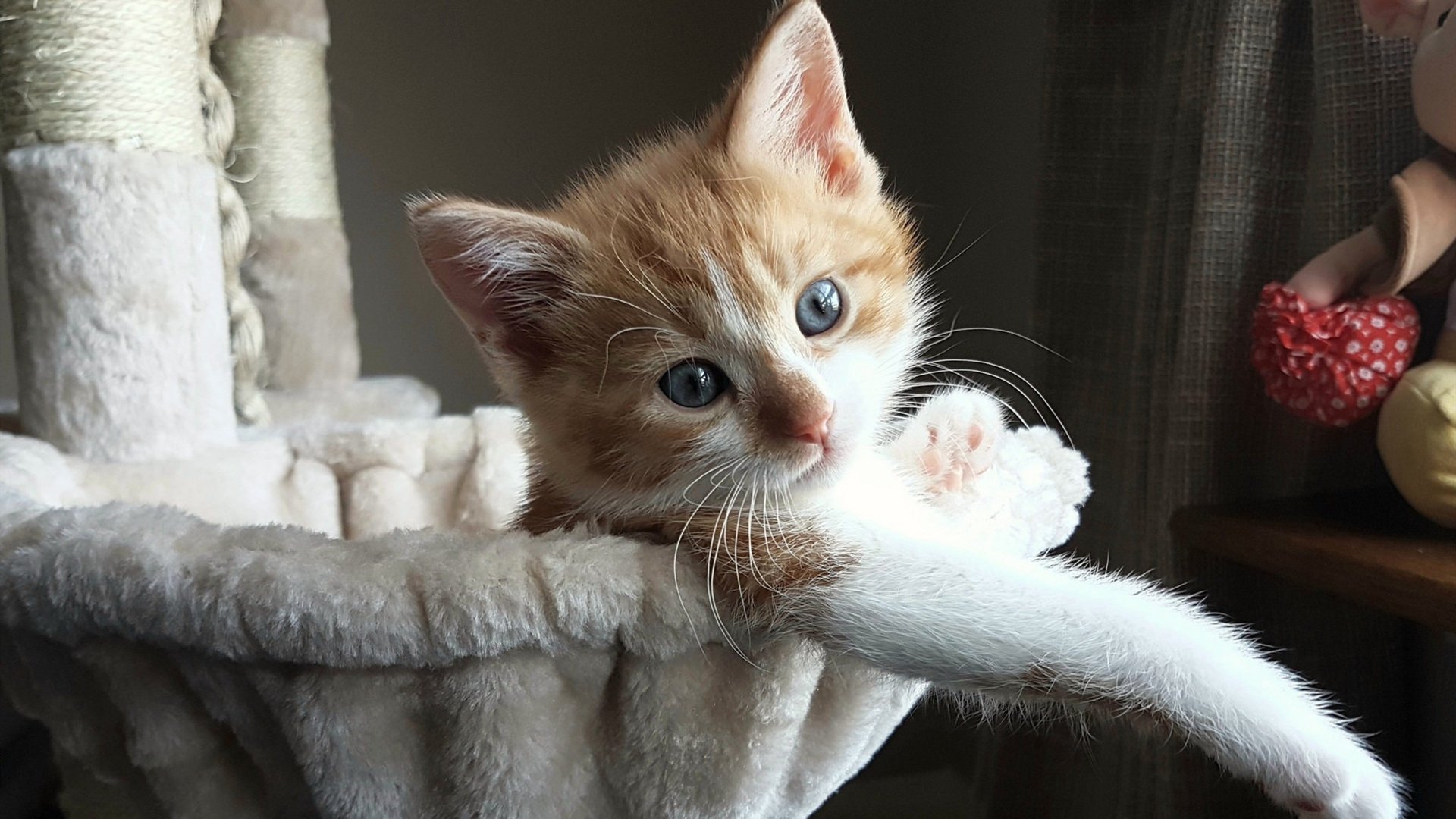 亚洲电竞联赛2025赛季精彩纷呈，电竞亚洲杯2020