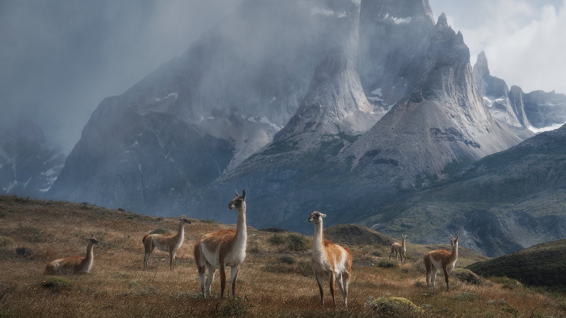 攻防大冲突：团队协作与个人天赋的较量，攻防组合